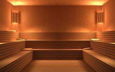 The Emerging Science of Saunas