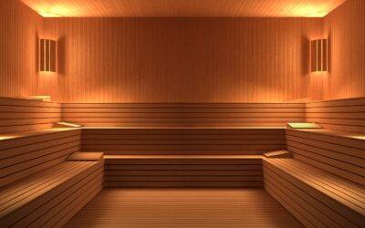 Articles | International Sauna Association - ISA