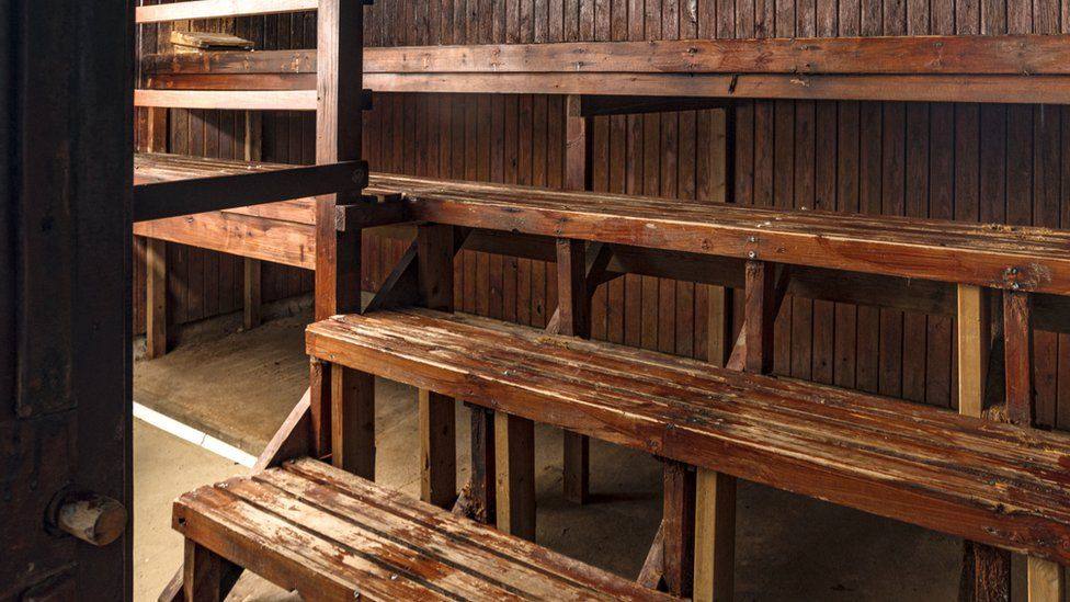 Inside the Finnish sauna